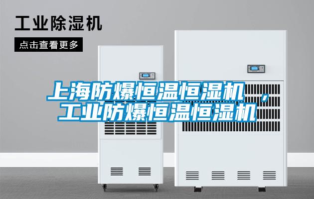 上海防爆恒溫恒濕機 ，工業防爆恒溫恒濕機