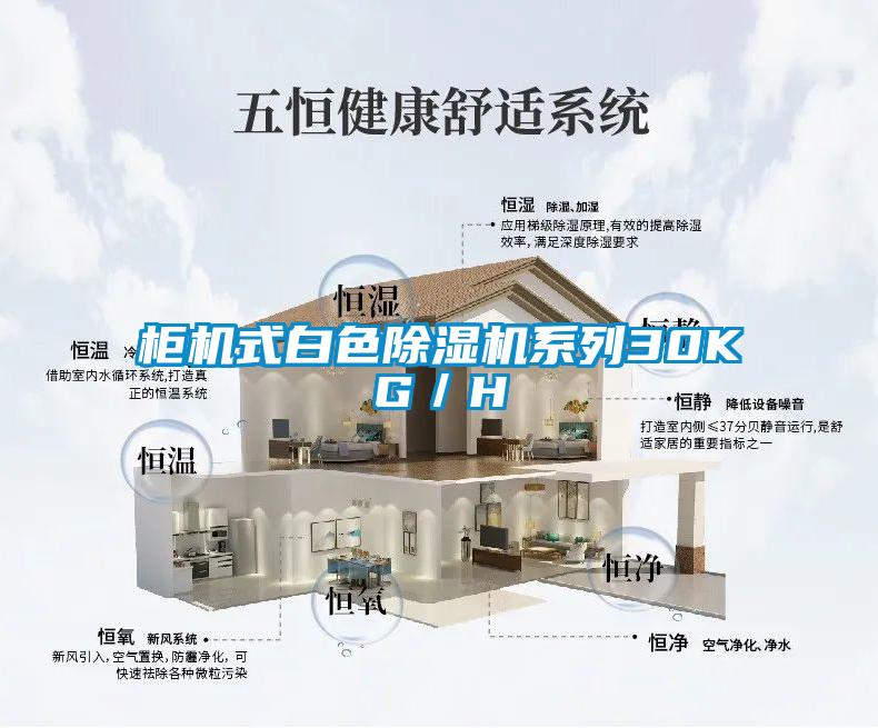 柜機(jī)式白色除濕機(jī)系列30KG/H