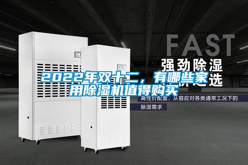 2022年雙十二，有哪些家用除濕機值得購買