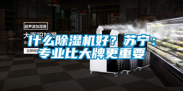 什么除濕機好?蘇寧:專業(yè)比大牌更重要
