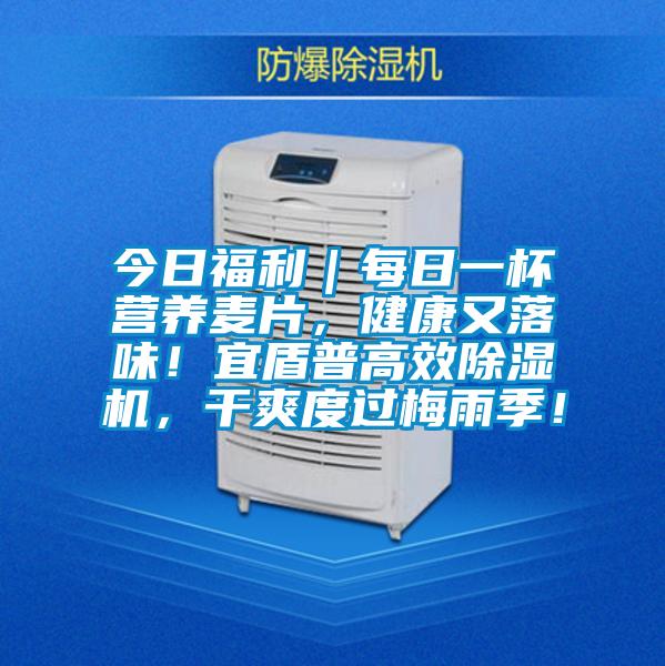 今日福利｜每日一杯營養麥片，健康又落味！宜盾普高效除濕機，干爽度過梅雨季！