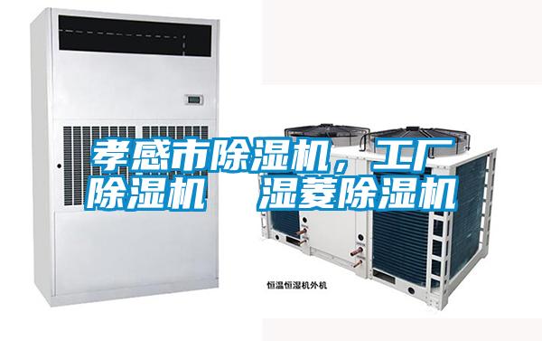 孝感市除濕機(jī),工廠除濕機(jī) 濕菱除濕機(jī)