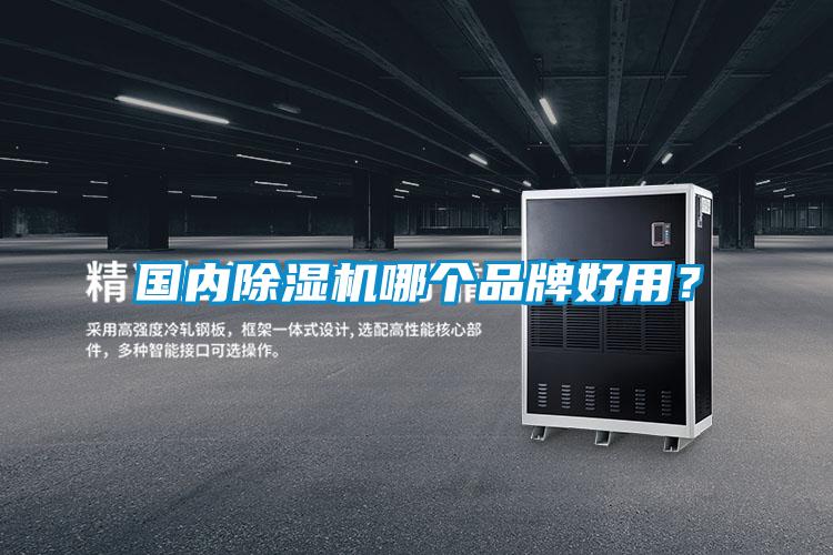 國內除濕機哪個品牌好用？
