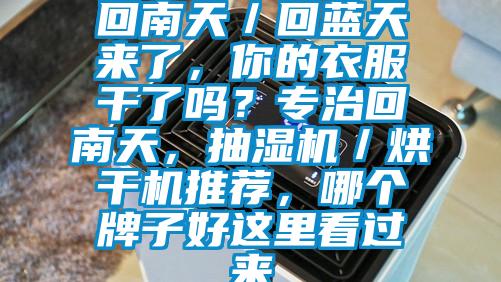 回南天／回藍天來了，你的衣服干了嗎？專治回南天，抽濕機／烘干機推薦，哪個牌子好這里看過來