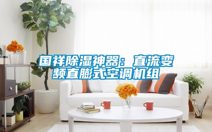 國祥除濕神器:直流變頻直膨式空調機組