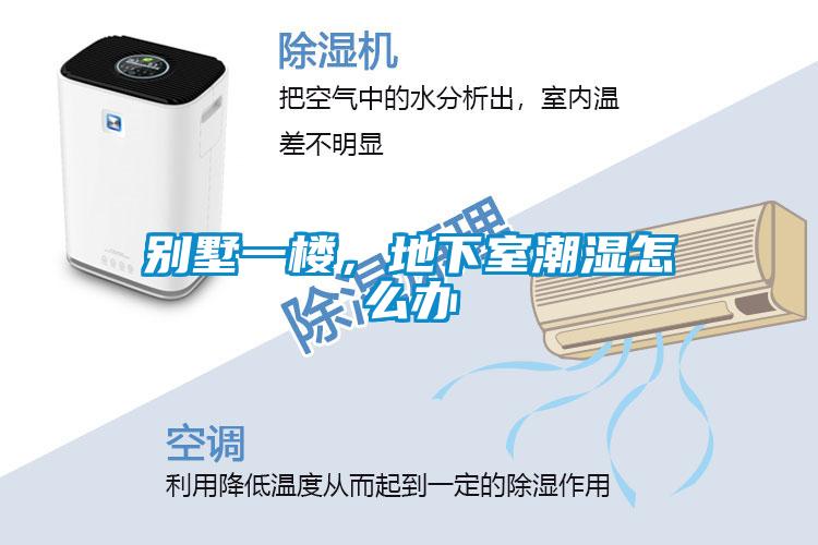 別墅一樓，地下室潮濕怎么辦