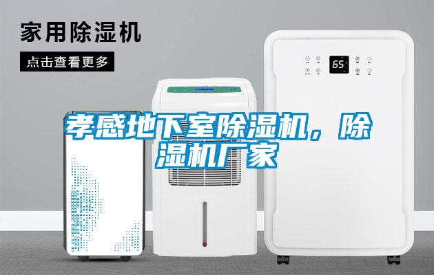 孝感地下室除濕機，除濕機廠家