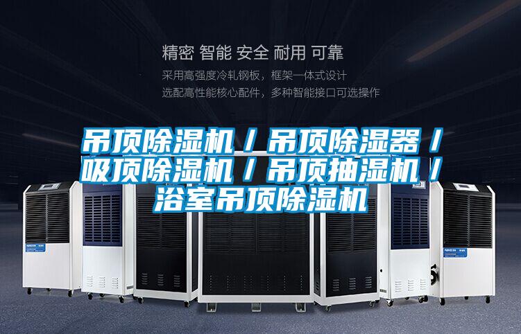 吊頂除濕機(jī)/吊頂除濕器/吸頂除濕機(jī)/吊頂抽濕機(jī)/浴室吊頂除濕機(jī)