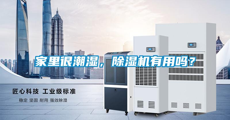 家里很潮濕，除濕機有用嗎？