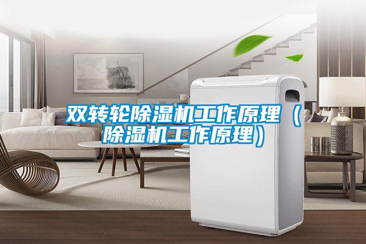 雙轉輪除濕機工作原理(除濕機工作原理)