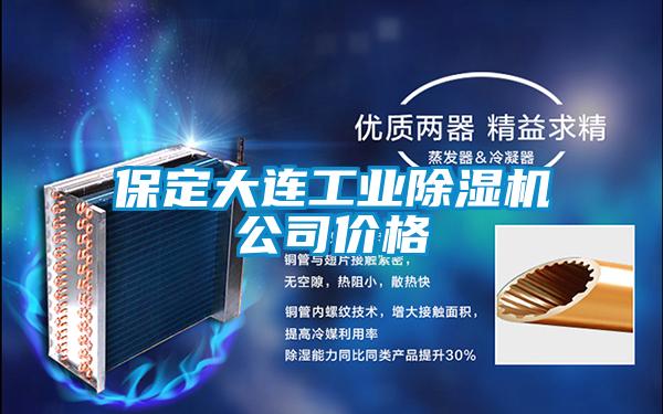 保定大連工業除濕機公司價格