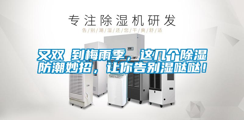 又雙叒到梅雨季，這幾個(gè)除濕防潮妙招，讓你告別濕噠噠！