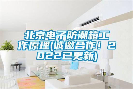 北京電子防潮箱工作原理(誠(chéng)邀合作！2022已更新)