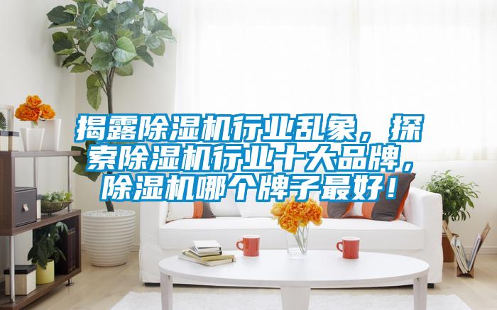 揭露除濕機行業(yè)亂象,探索除濕機行業(yè)十大品牌,除濕機哪個牌子最好!