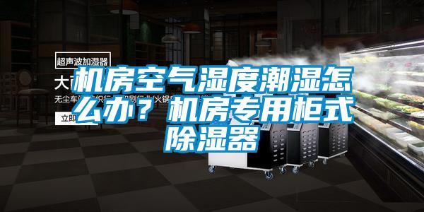 機(jī)房空氣濕度潮濕怎么辦?機(jī)房專用柜式除濕器