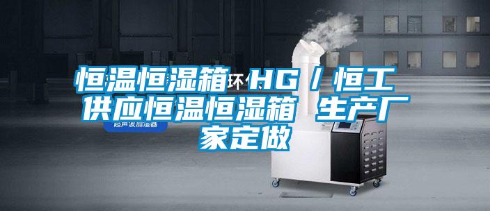 恒溫恒濕箱 HG/恒工 供應(yīng)恒溫恒濕箱 生產(chǎn)廠家定做