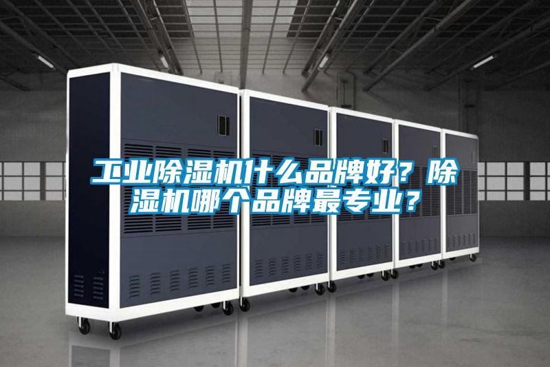 工業除濕機什么品牌好？除濕機哪個品牌最專業？