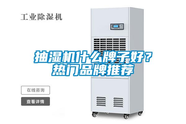 抽濕機(jī)什么牌子好?熱門品牌推薦