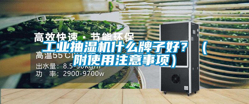 工業(yè)抽濕機什么牌子好？（附使用注意事項）