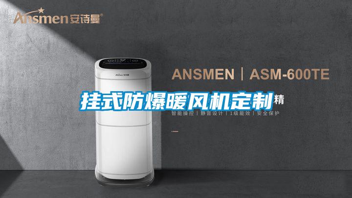 掛式防爆暖風(fēng)機定制