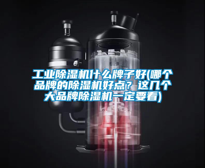 工業(yè)除濕機(jī)什么牌子好(哪個(gè)品牌的除濕機(jī)好點(diǎn)?這幾個(gè)大品牌除濕機(jī)一定要看)