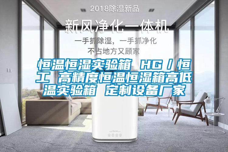 恒溫恒濕實驗箱 HG/恒工 高精度恒溫恒濕箱高低溫實驗箱 定制設(shè)備廠家