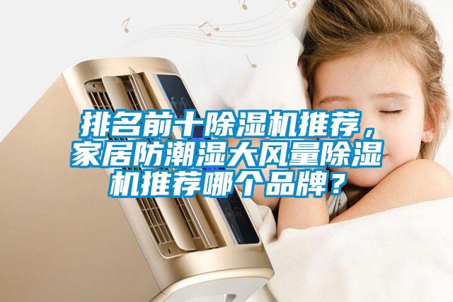 排名前十除濕機推薦,家居防潮濕大風(fēng)量除濕機推薦哪個品牌?