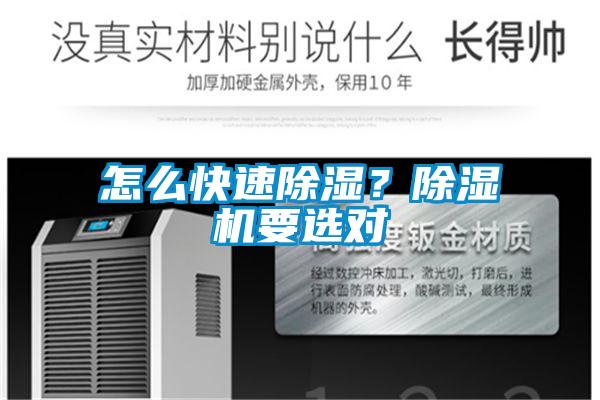 怎么快速除濕?除濕機要選對