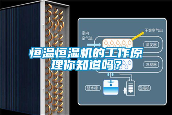 恒溫恒濕機的工作原理你知道嗎？