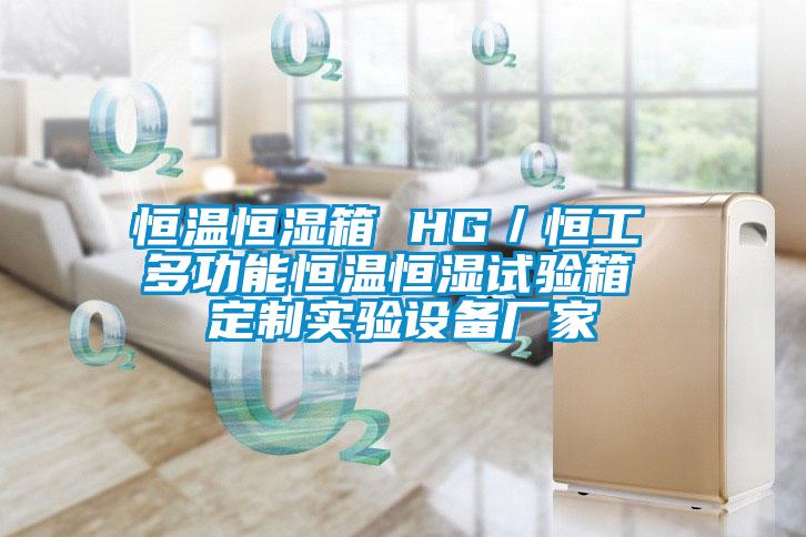 恒溫恒濕箱 HG/恒工 多功能恒溫恒濕試驗(yàn)箱 定制實(shí)驗(yàn)設(shè)備廠家