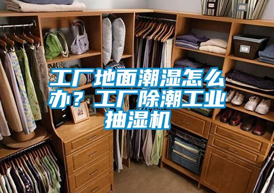 工廠地面潮濕怎么辦？工廠除潮工業抽濕機