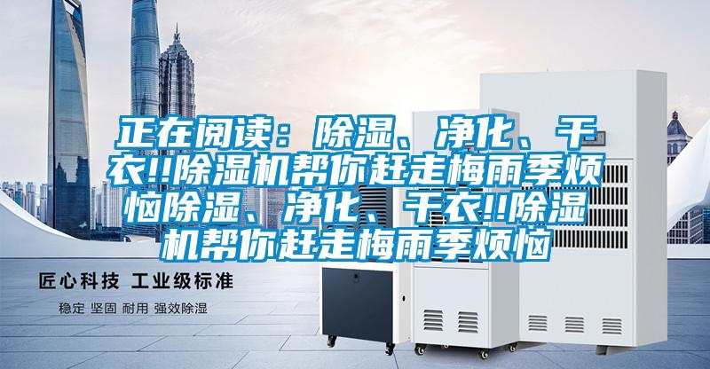 正在閱讀：除濕、凈化、干衣!!除濕機幫你趕走梅雨季煩惱除濕、凈化、干衣!!除濕機幫你趕走梅雨季煩惱
