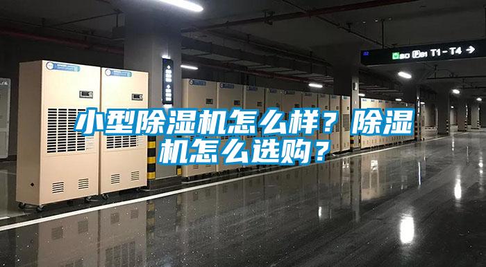 小型除濕機怎么樣？除濕機怎么選購？