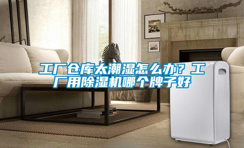 工廠倉庫太潮濕怎么辦？工廠用除濕機哪個牌子好