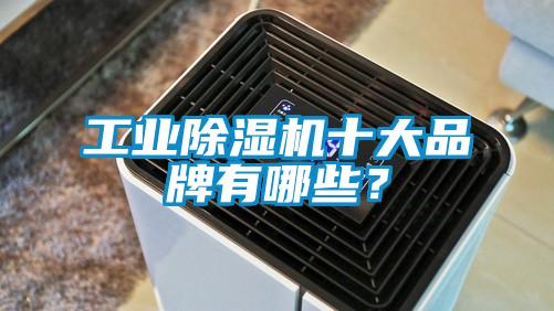 工業(yè)除濕機(jī)十大品牌有哪些?