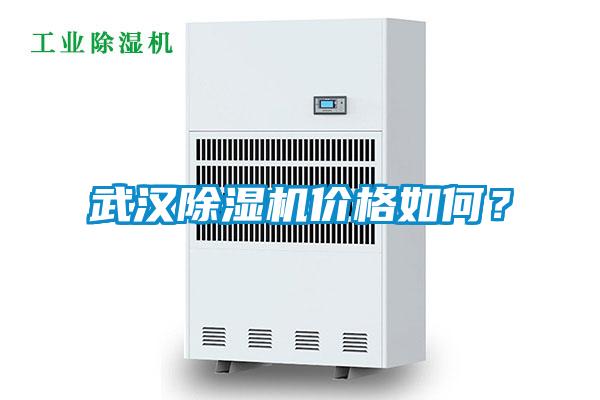 武漢除濕機價格如何？