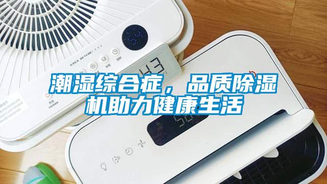 潮濕綜合癥,品質除濕機助力健康生活