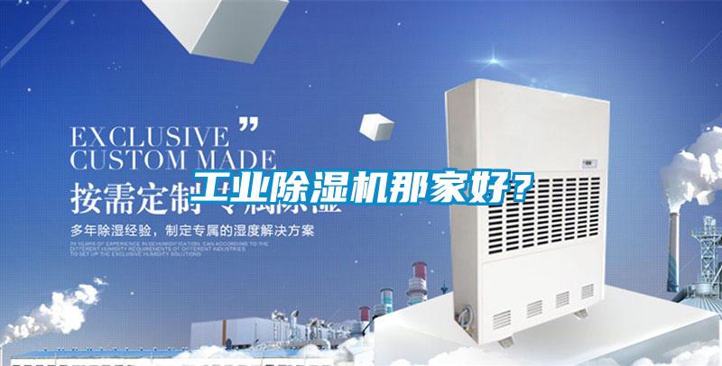工業(yè)除濕機(jī)那家好？