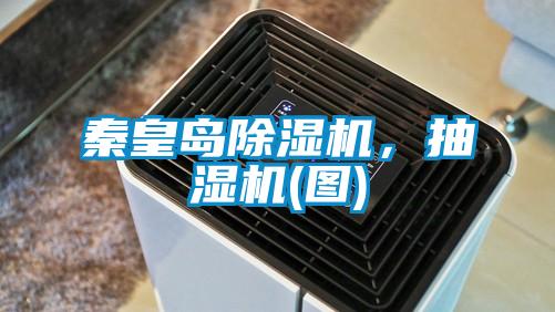 秦皇島除濕機,抽濕機(圖)