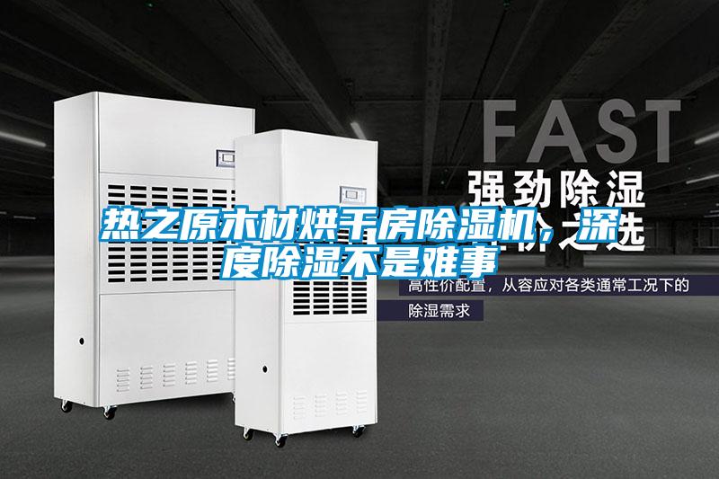 熱之原木材烘干房除濕機,深度除濕不是難事