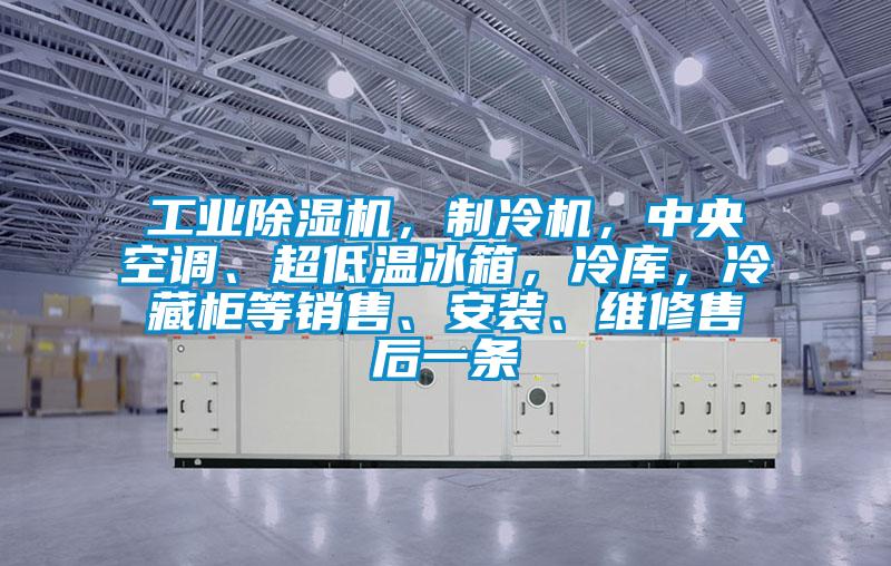 工業(yè)除濕機(jī)，制冷機(jī)，中央空調(diào)、超低溫冰箱，冷庫，冷藏柜等銷售、安裝、維修售后一條