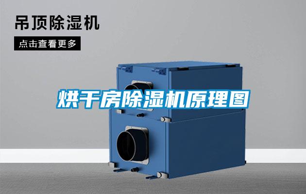 烘干房除濕機(jī)原理圖