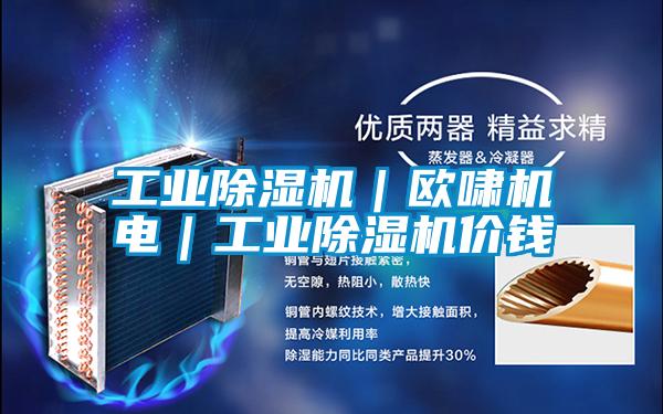 工業除濕機|歐嘯機電|工業除濕機價錢