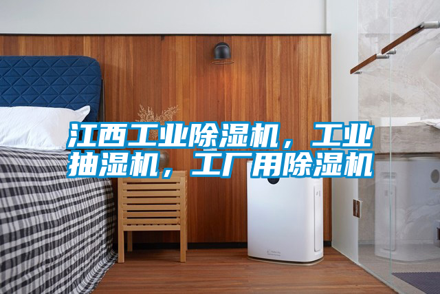 江西工業(yè)除濕機，工業(yè)抽濕機，工廠用除濕機