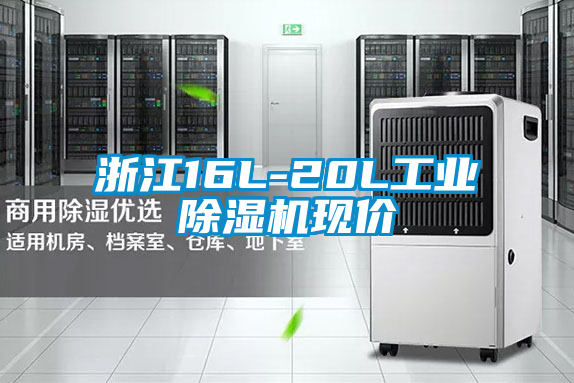 浙江16L-20L工業除濕機現價