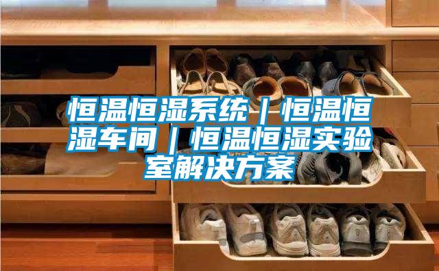 恒溫恒濕系統|恒溫恒濕車間|恒溫恒濕實驗室解決方案