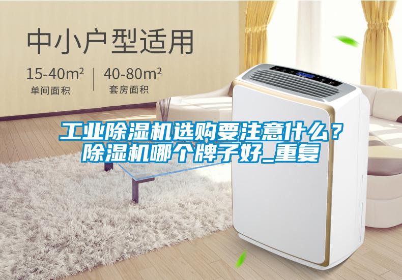 工業(yè)除濕機選購要注意什么?除濕機哪個牌子好_重復(fù)