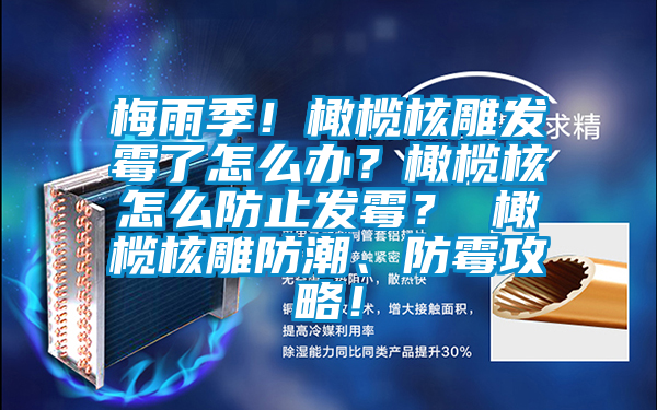 梅雨季！橄欖核雕發霉了怎么辦？橄欖核怎么防止發霉？ 橄欖核雕防潮、防霉攻略！
