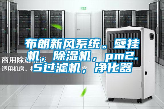 布朗新風系統(tǒng)。壁掛機，除濕機，pm2.5過濾機，凈化器