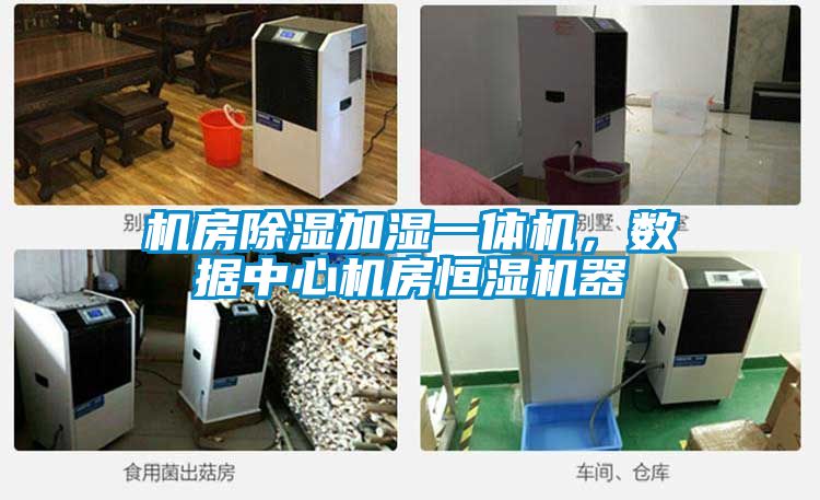 機房除濕加濕一體機，數(shù)據(jù)中心機房恒濕機器